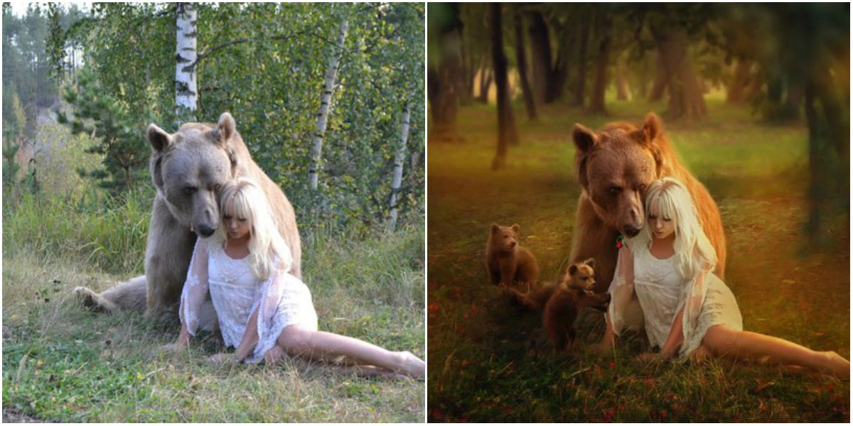 TestRocket - Image 4